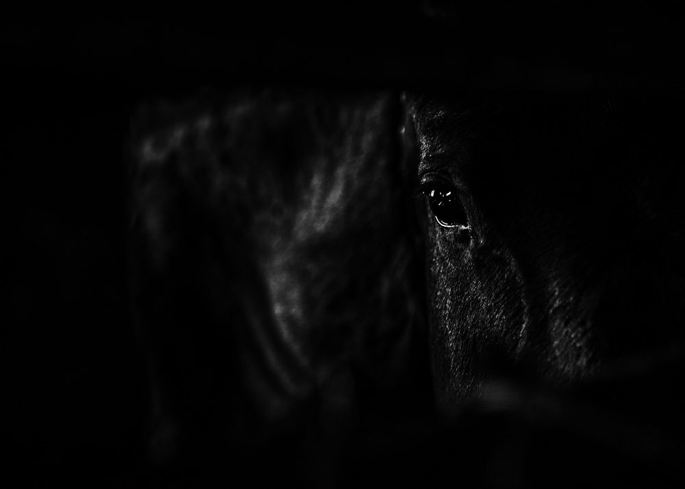 Photograph by Ксения Рыбцова