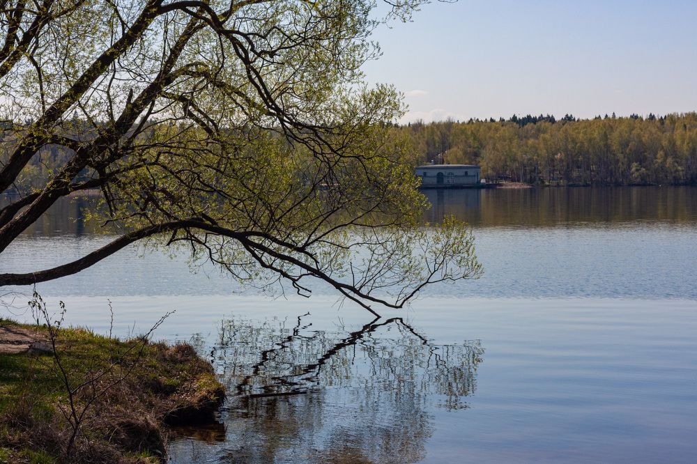 Photograph by Сергей Щербаков