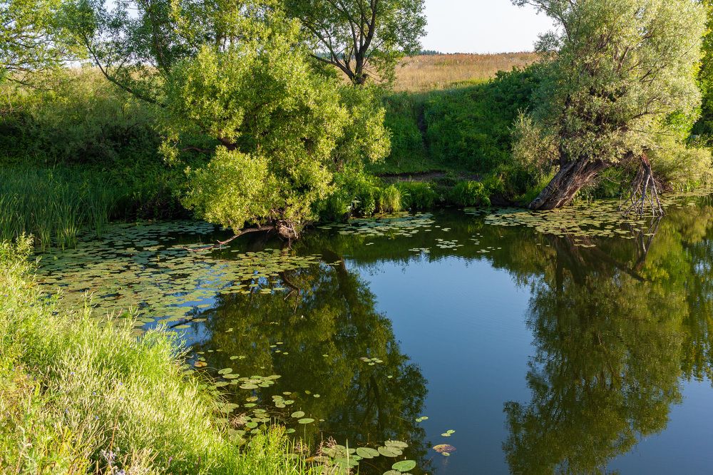 Photograph by Сергей Щербаков