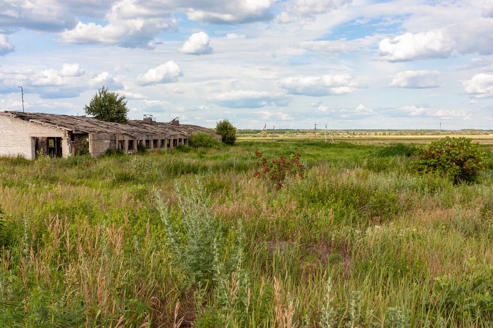 Photograph by Сергей Щербаков