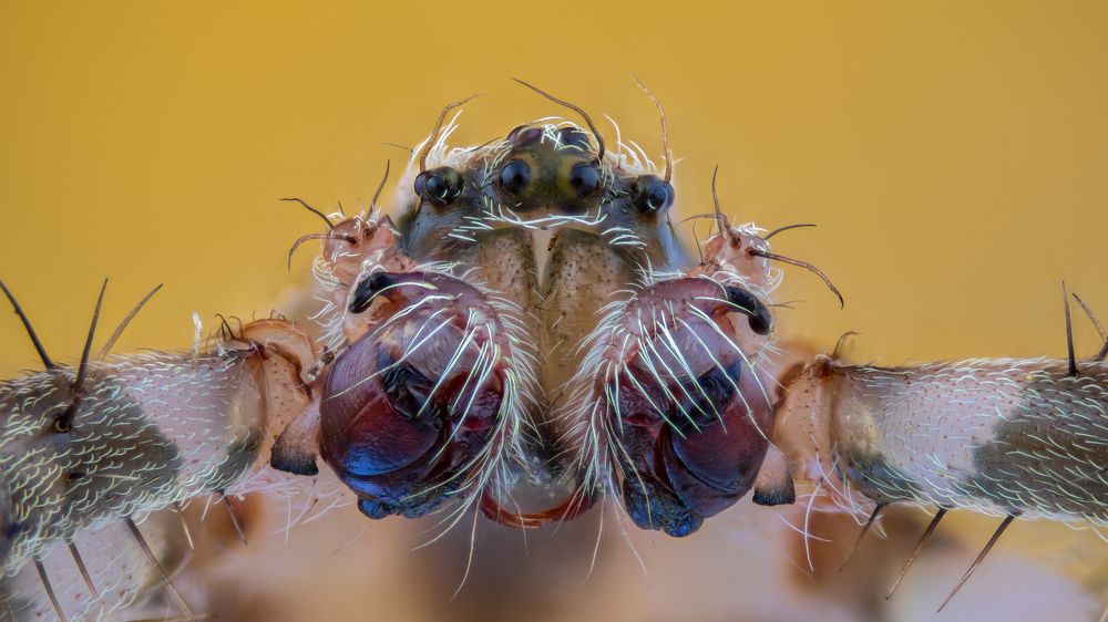 Photograph by Jayanta Bordoloi