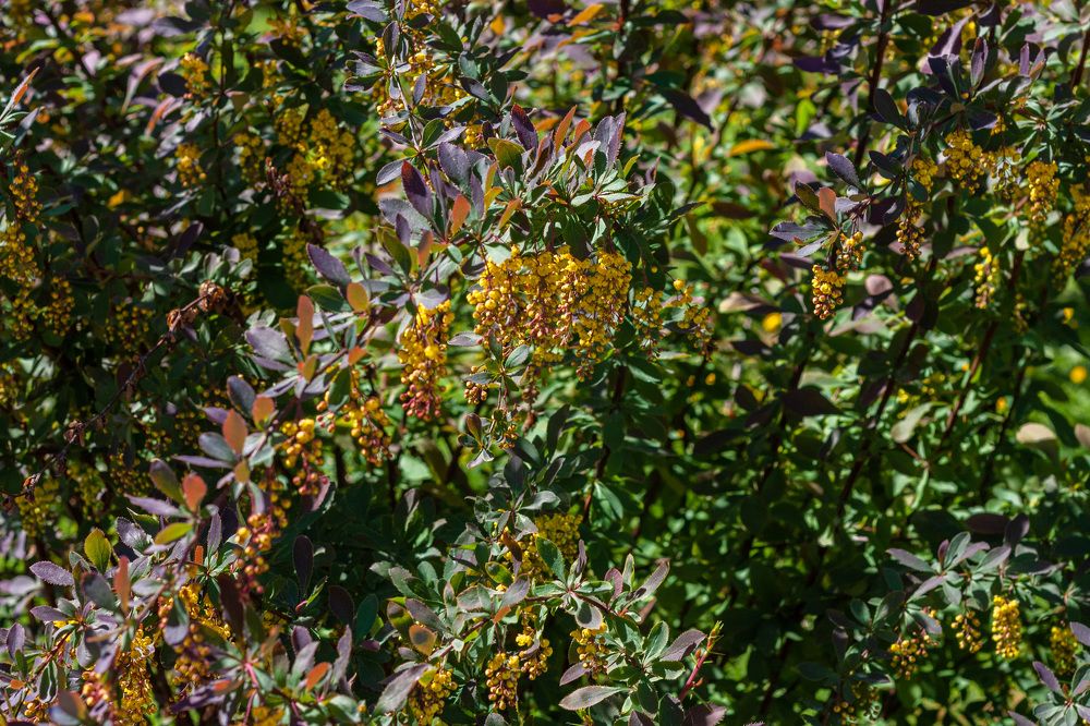 Photograph by Сергей Щербаков