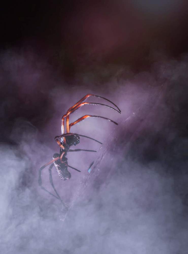 Photograph by Silvina Sánchez