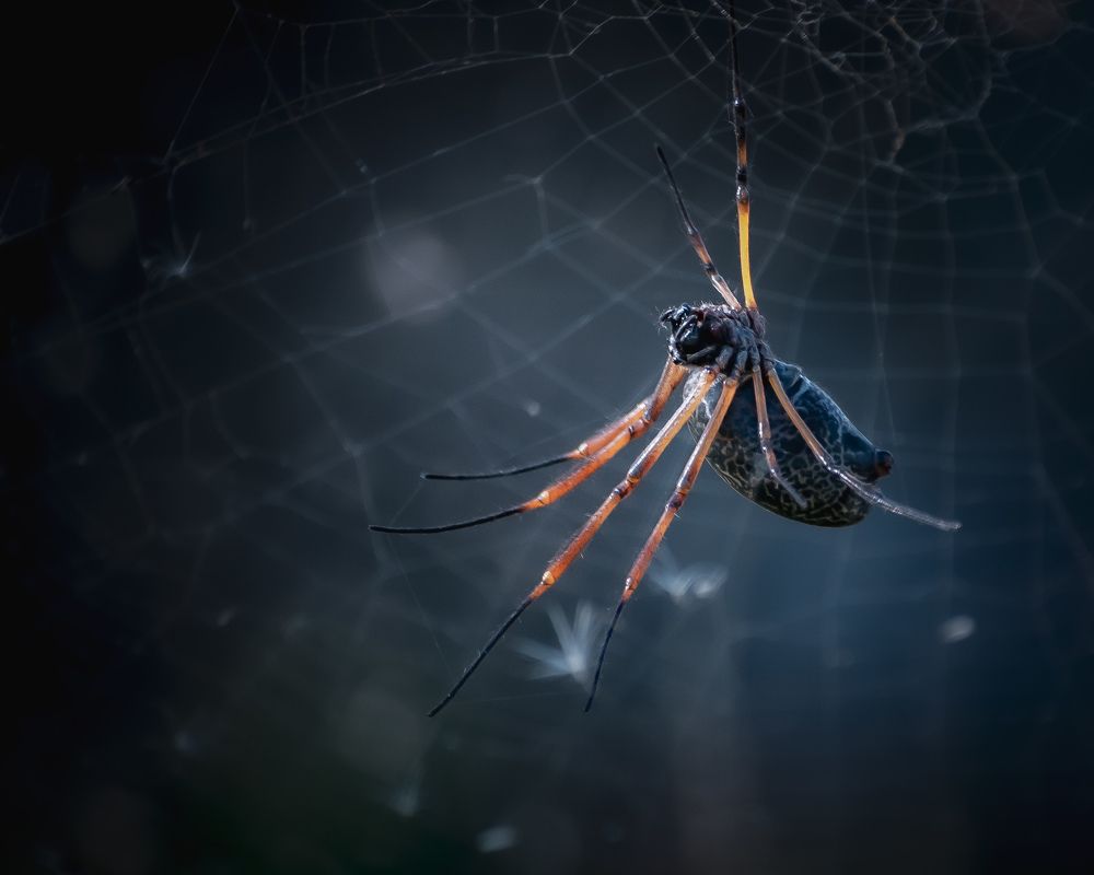 Photograph by Silvina Sánchez