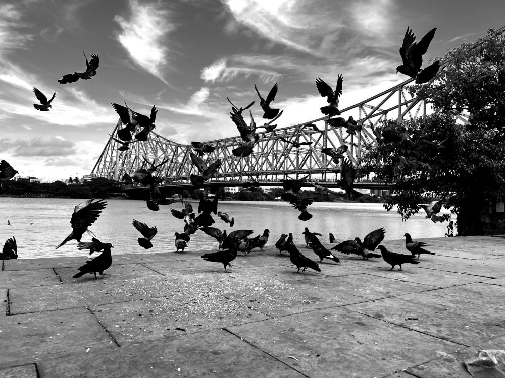 Photograph by Sampad das