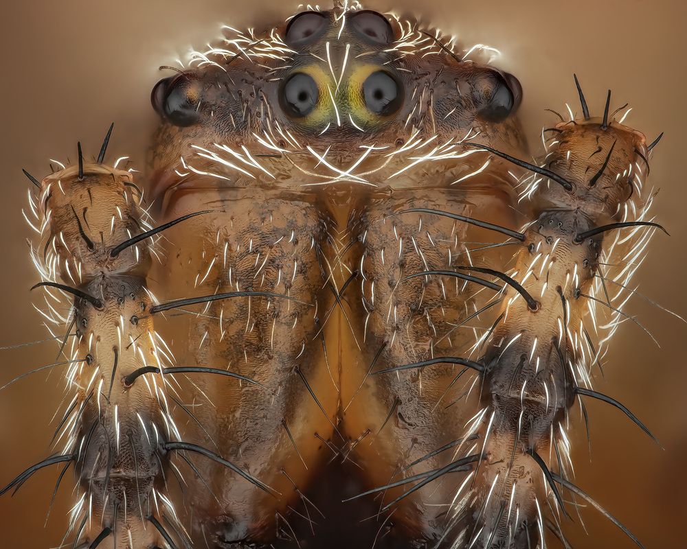 Photograph by Rastislav Borovsky