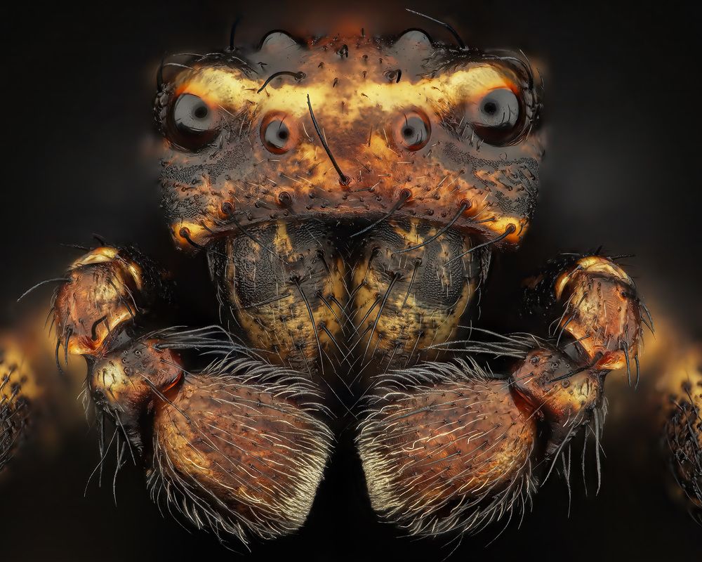 Photograph by Rastislav Borovsky