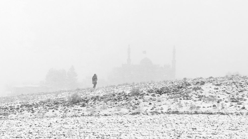 Photograph by seyed mostafa yousefi