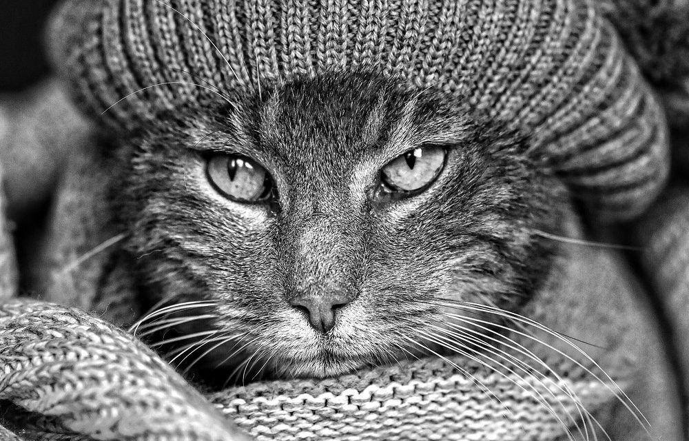 Photograph by Ольга Кудина