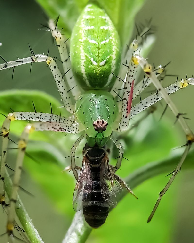 Photograph by Sampad das