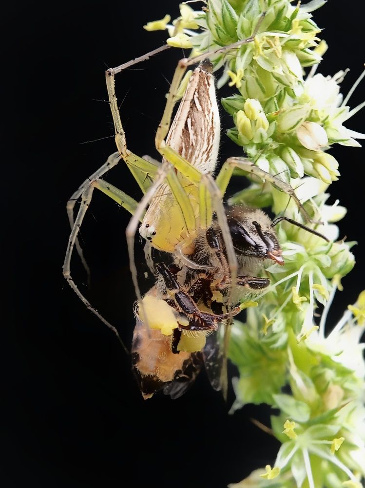 Photograph by Sampad das