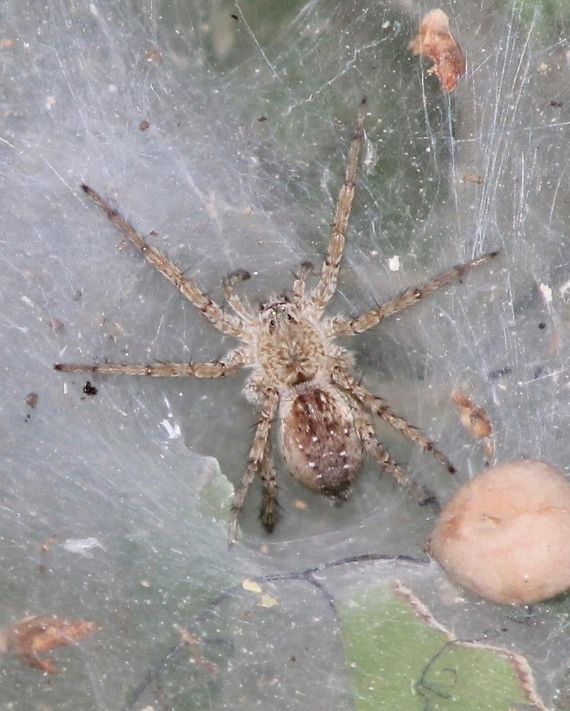 Photograph by Waleed Yousuf Alwahaibi