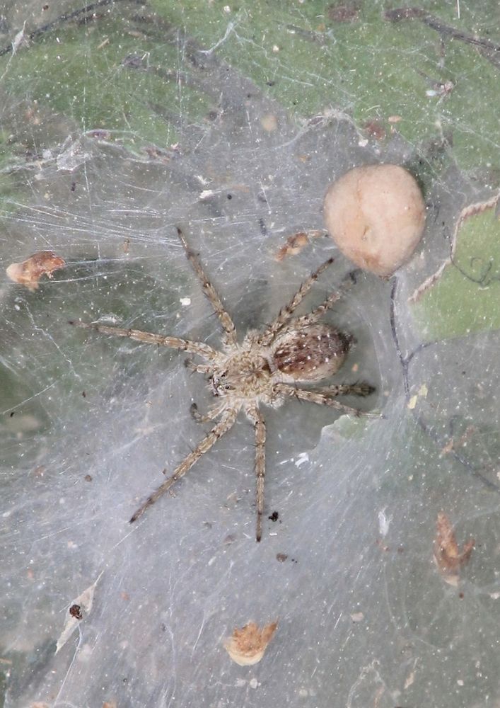 Photograph by Waleed Yousuf Alwahaibi