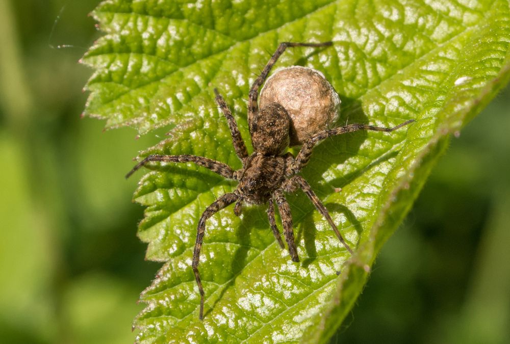 Photograph by Эрик Турман