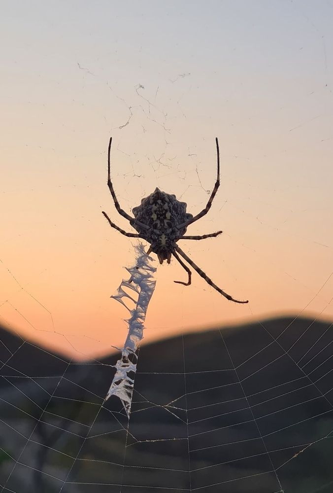 Photograph by INNA KHOMENKO