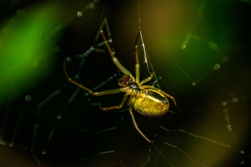 Фотография автора Jose Marcos Carvajal Tarazona