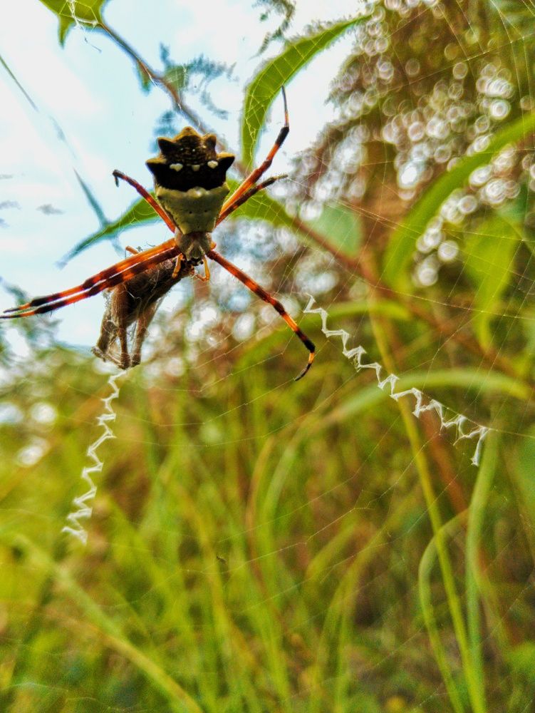 Фотография автора Jose Marcos Carvajal Tarazona