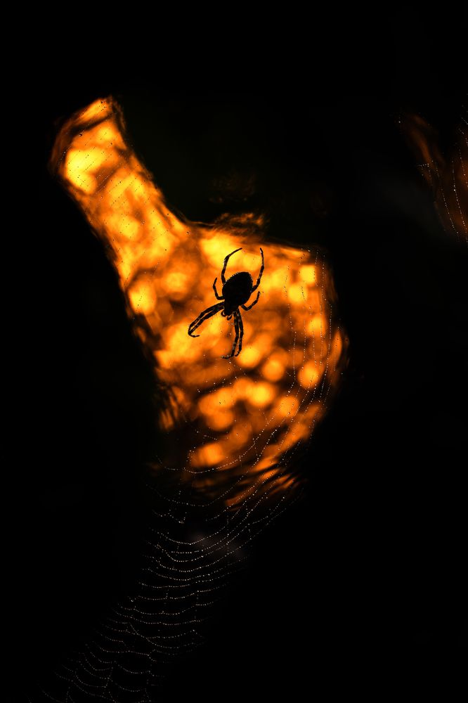 Фотография автора Rok Štirn