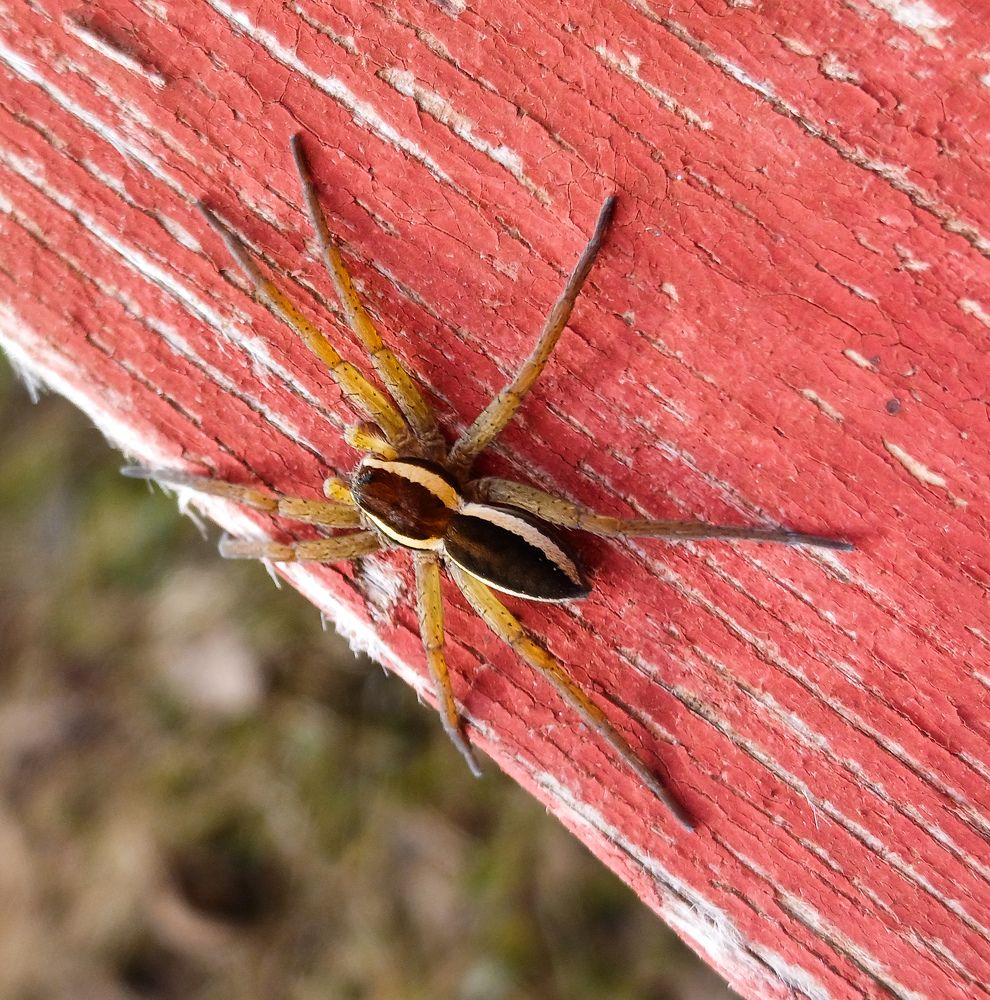 Фотография автора Валерия