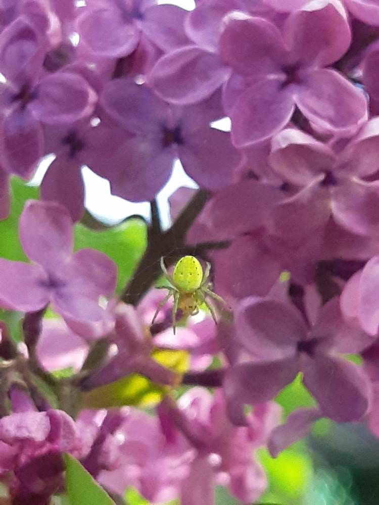 Photograph by Ольга Хромова