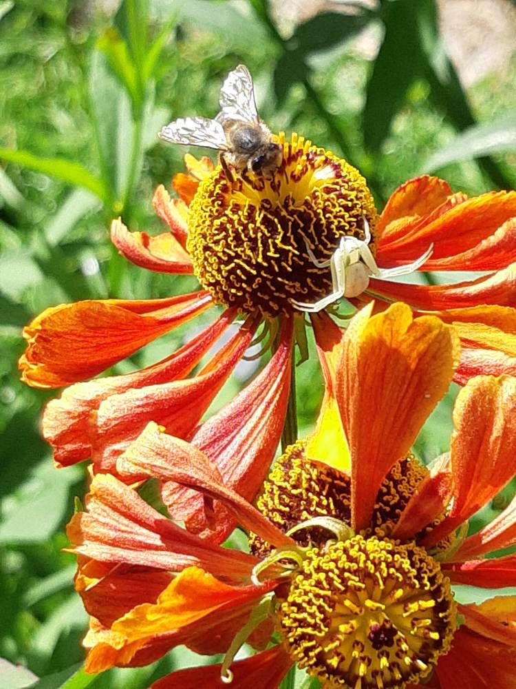 Photograph by Ольга Хромова