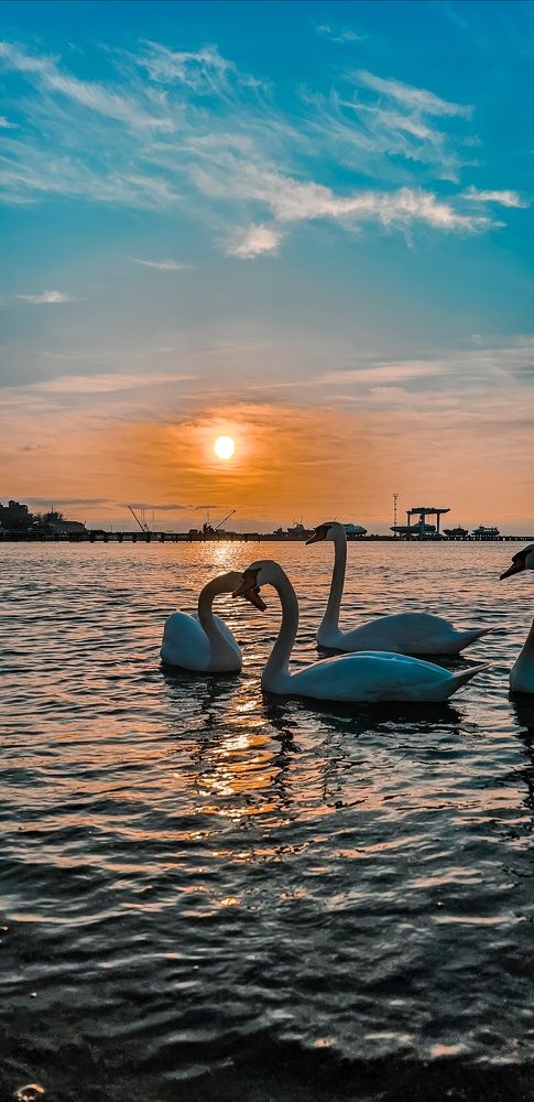 Photograph by INNA KHOMENKO