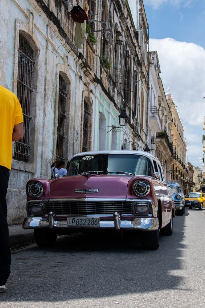 Photograph by Nora Cheprasova