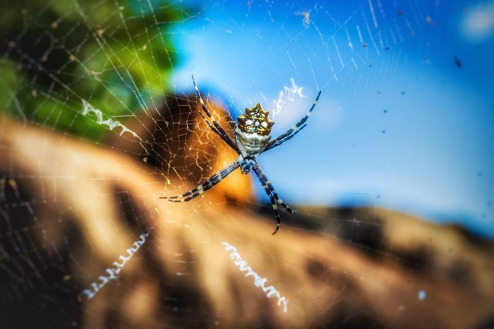 Photograph by Thomas Dunston