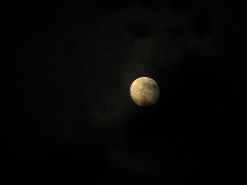 Photo #10553972