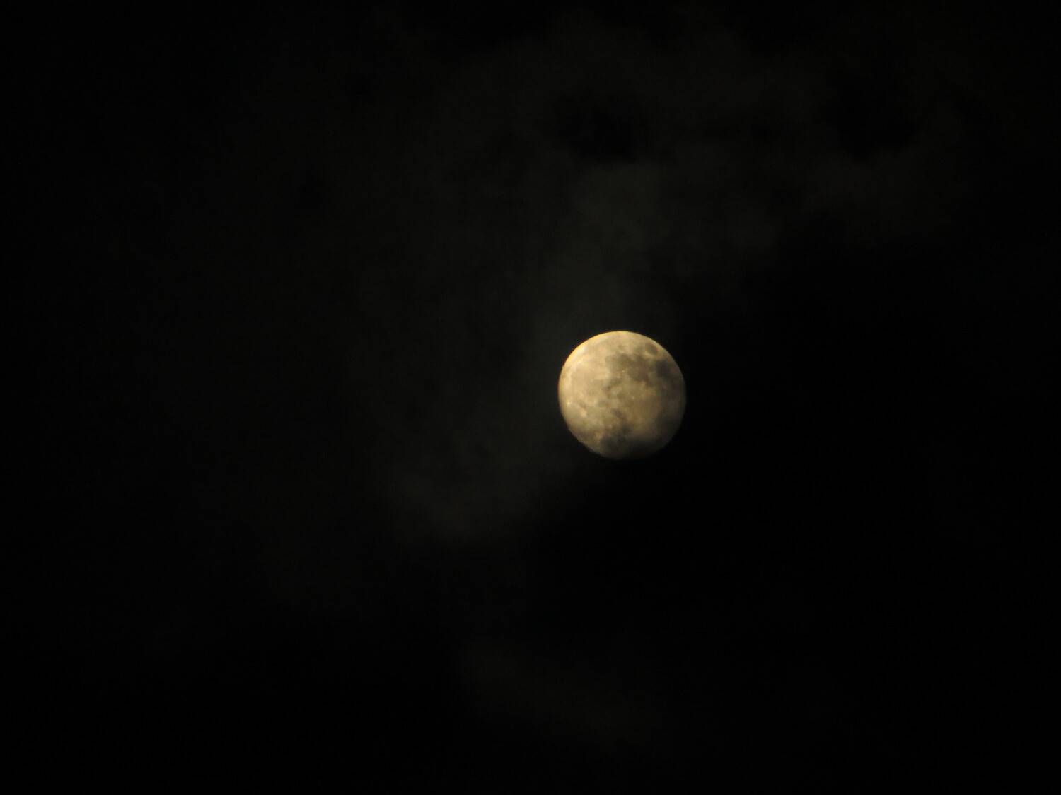 Photo #10553972