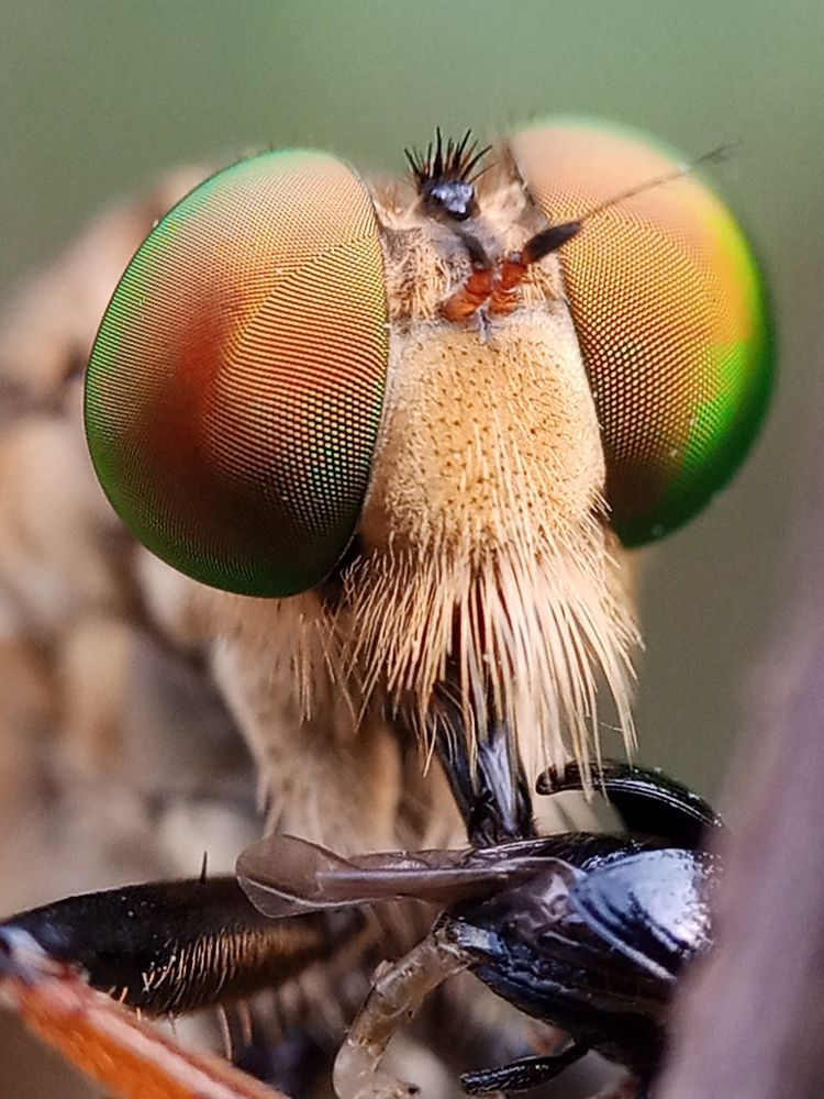 Photograph by Khairul Zamzami