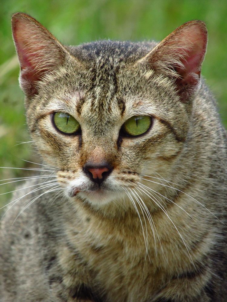 Photograph by Khairul Zamzami