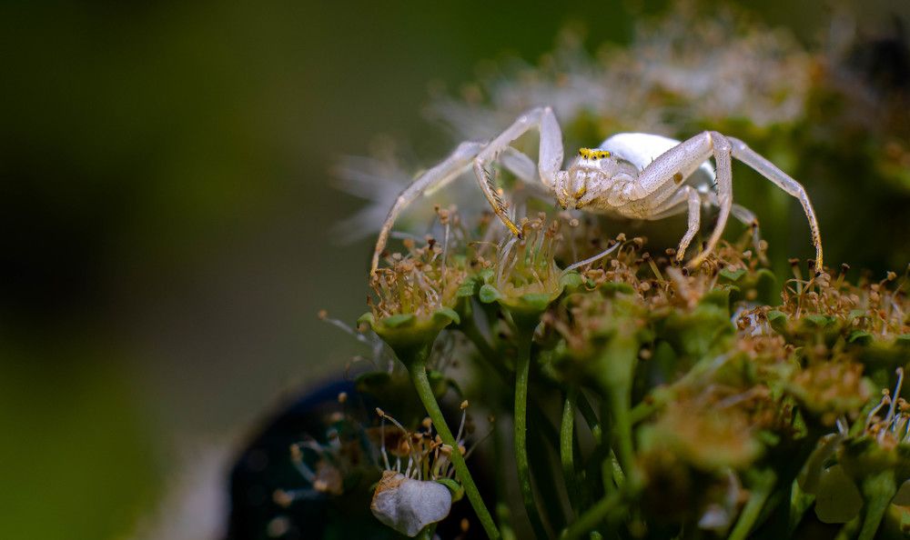 Фотография автора Aлексей Игнатьев