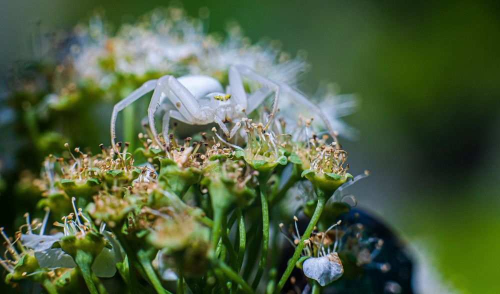 Фотография автора Aлексей Игнатьев