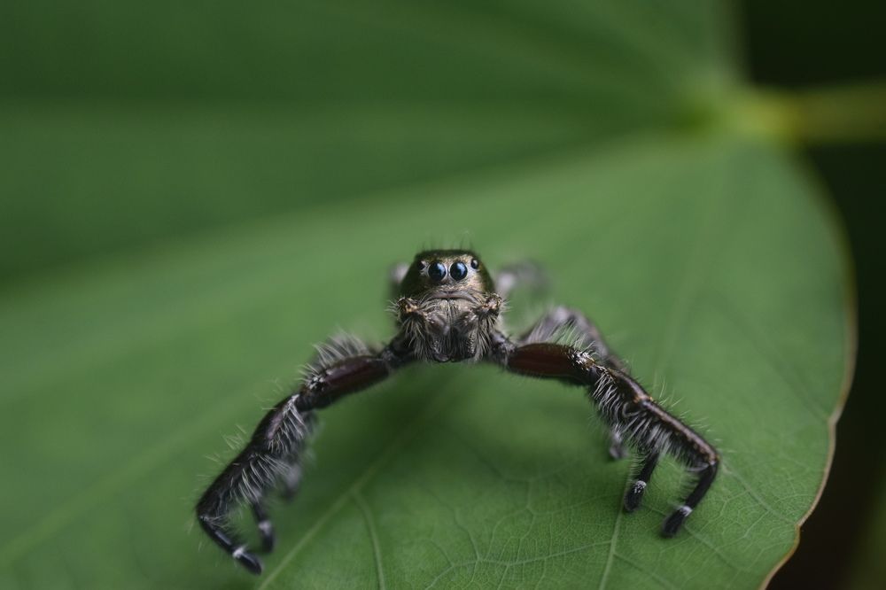 Hai you.. Yes you!!!