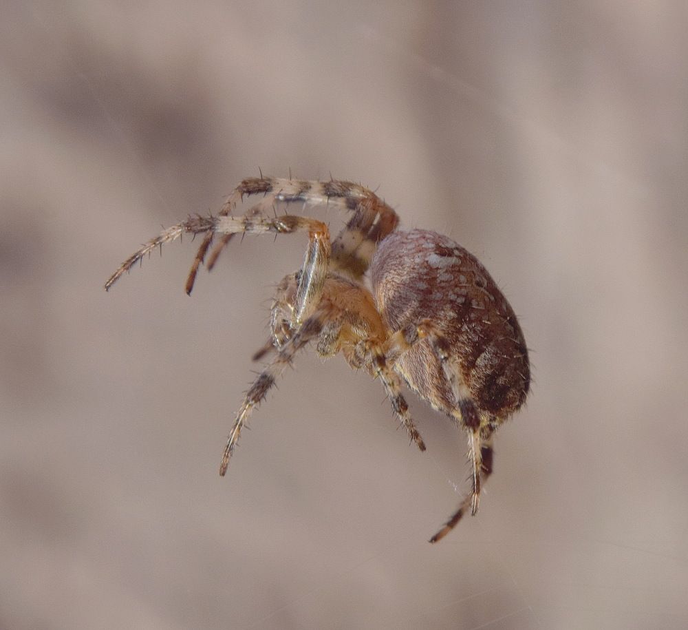 Photograph by Василий Быстрицкий