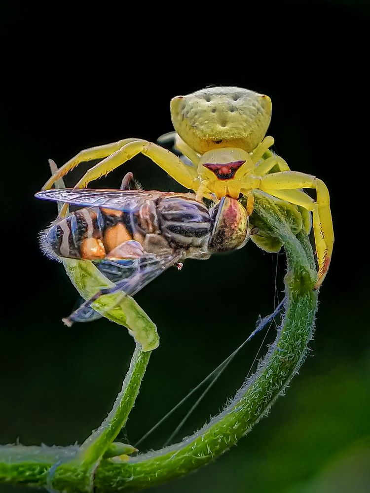 Photograph by Biplab Hazra