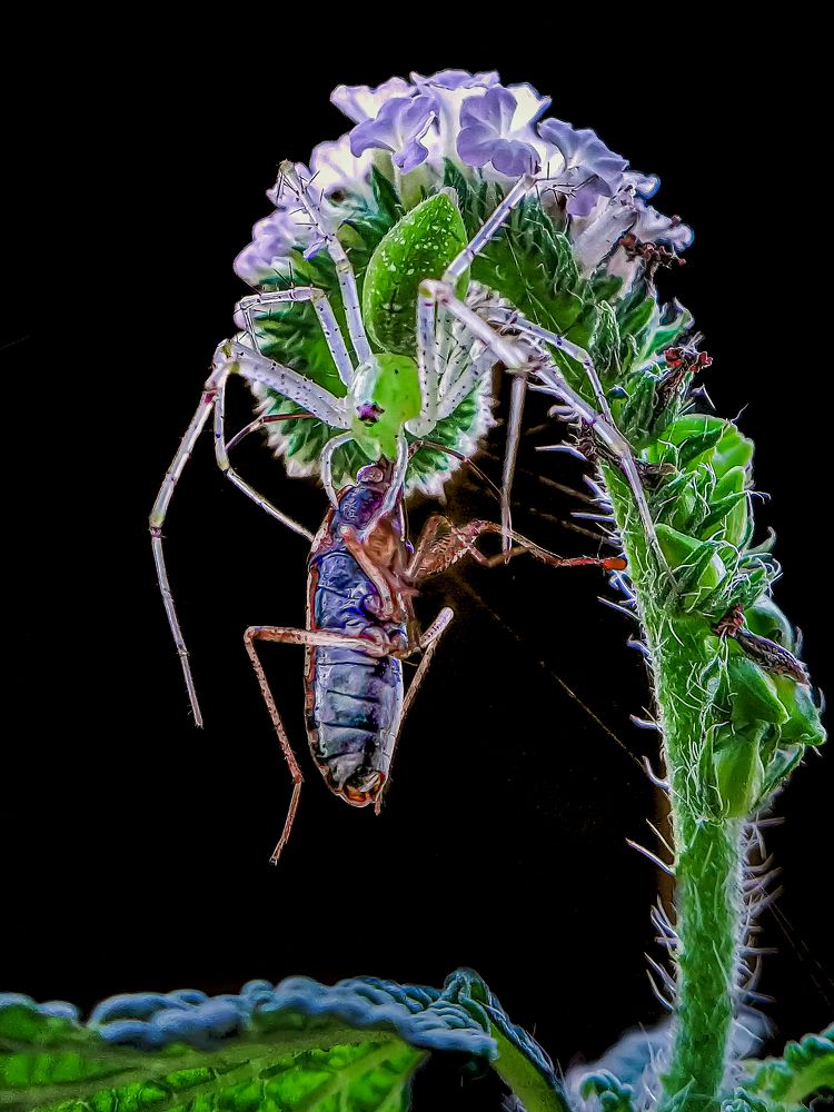 Photograph by Biplab Hazra