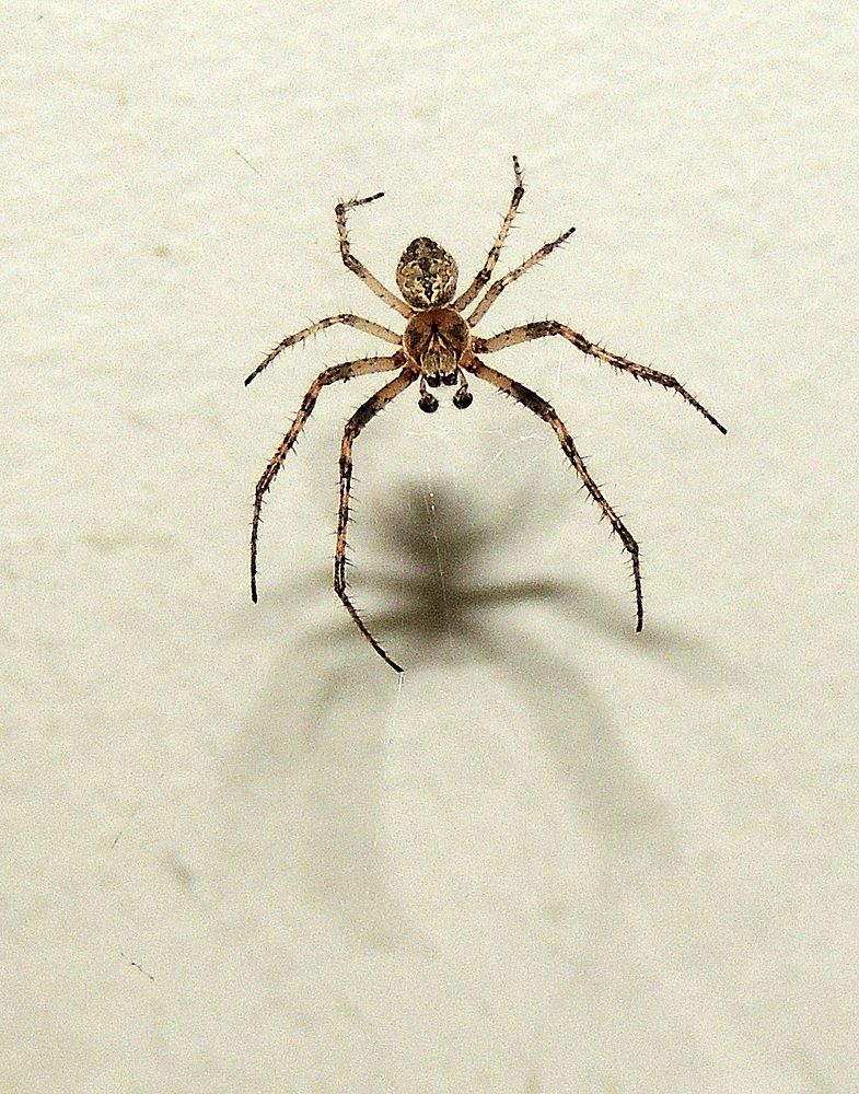 Photograph by Савоцкий Роман