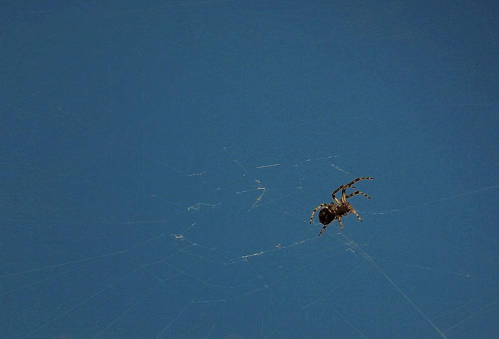 Фотография автора Роман Савоцкий