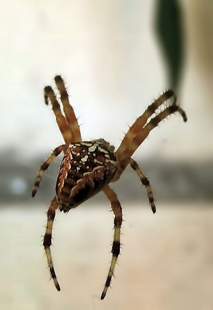 Фотография автора Роман Савоцкий