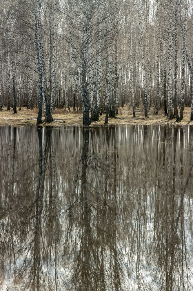 Photograph by Игорь Тюменцев