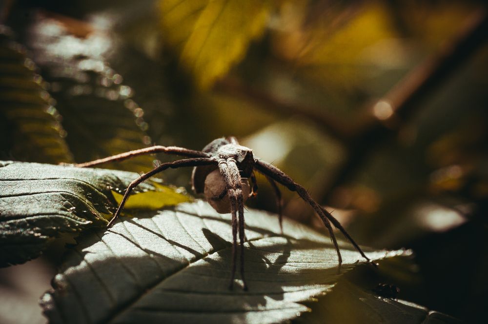 Photograph by Николай Захаров