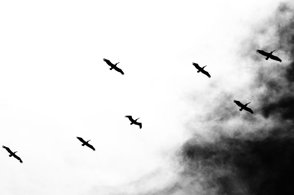 Photograph by Ulises Pintos