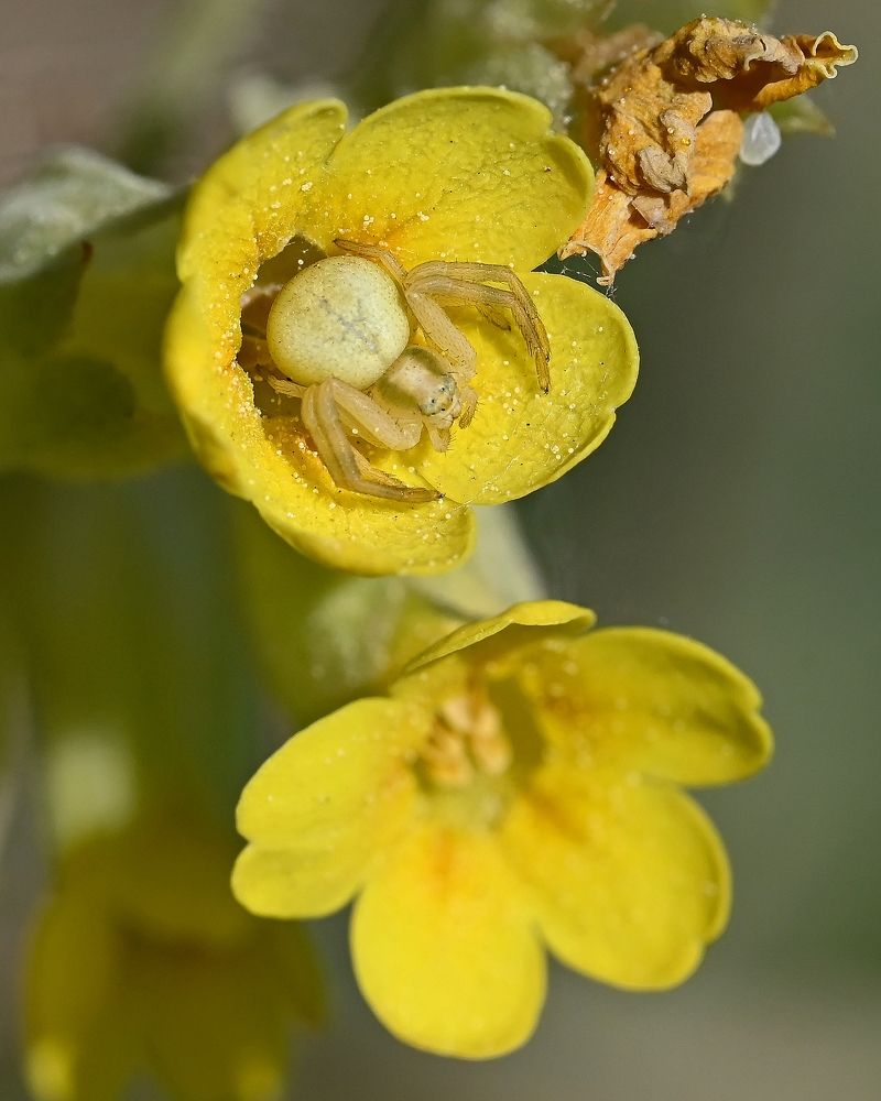 Photograph by Алексей Гордеев