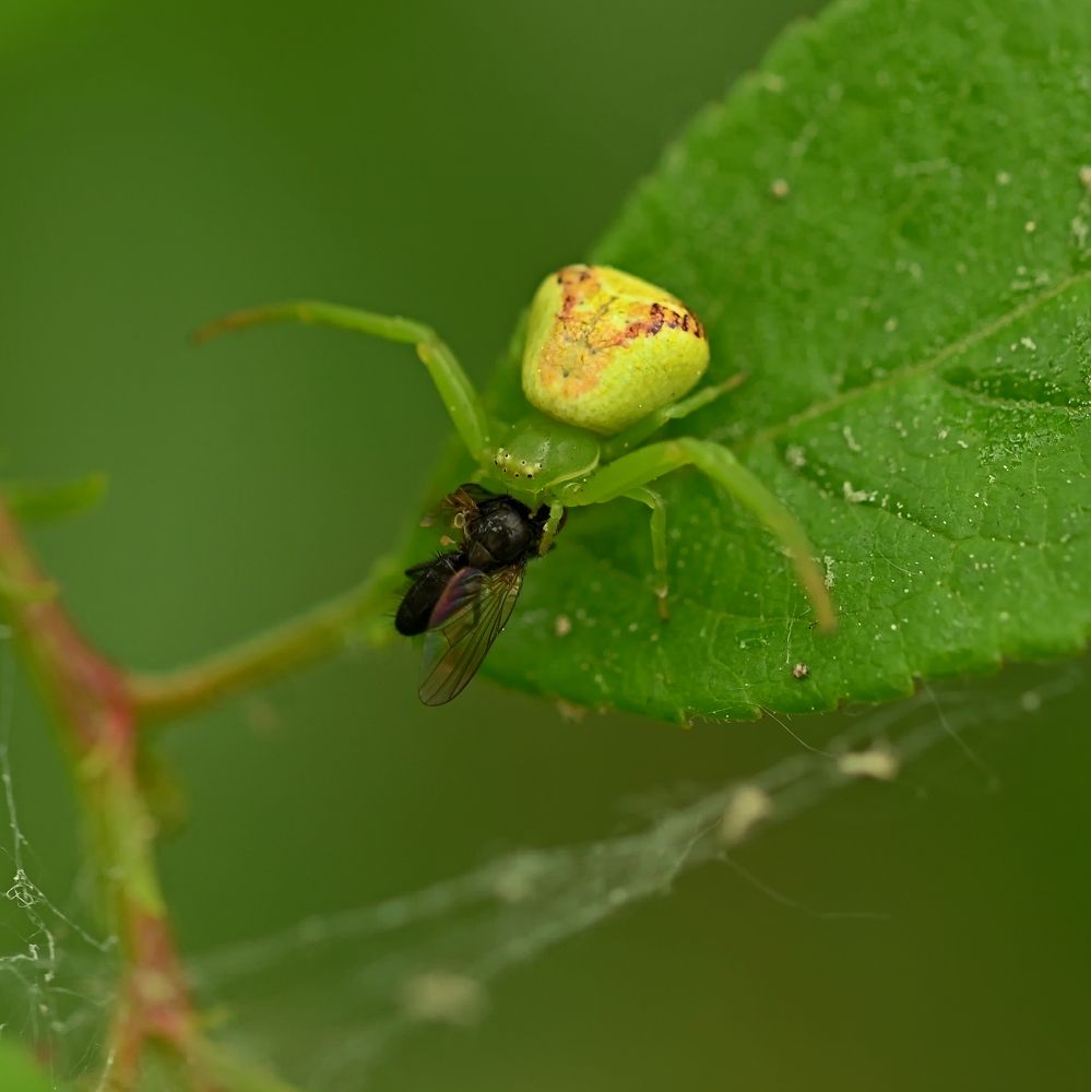 Photograph by Алексей Гордеев