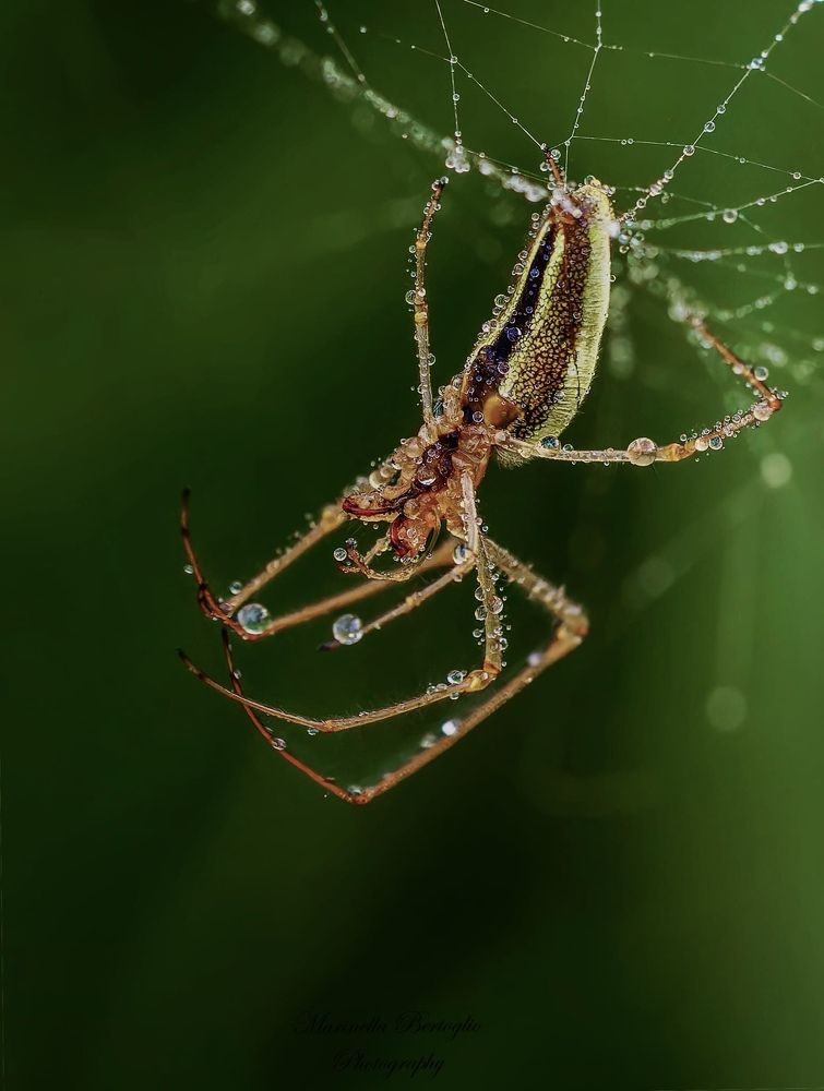 Photograph by Shajahan Biswas