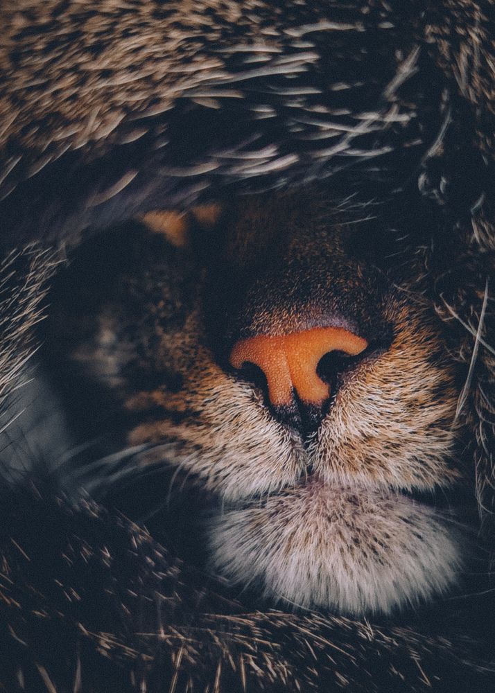 Photograph by Глущенко Ольга