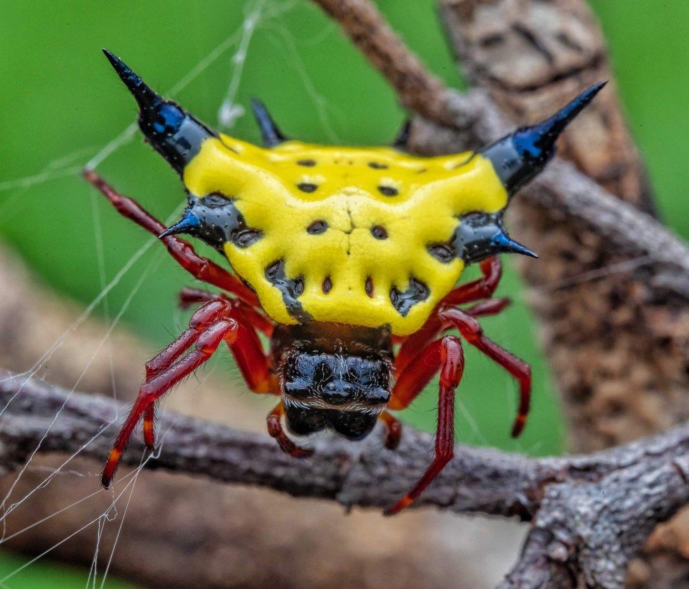 Photograph by Loo kok hua Loo