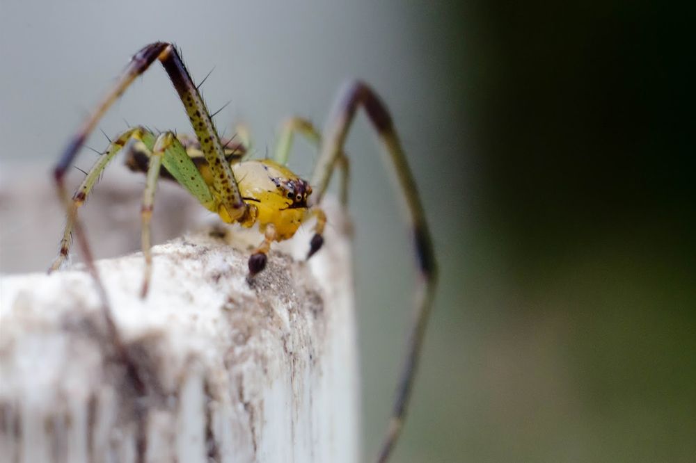 Photograph by Новиков Александр